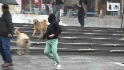 Bursa’da sağanak yağış etkili oldu, yarın kar geliyor