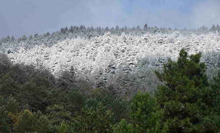Kuzey Ege’de mevsimin ilk karı yağdı