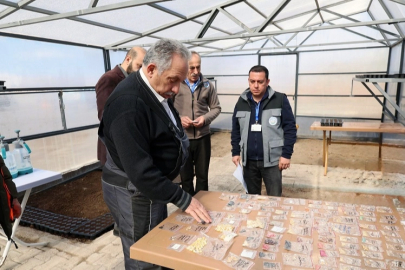 Kayseri Talas'ta tulum eşliğinde tohum şenliği