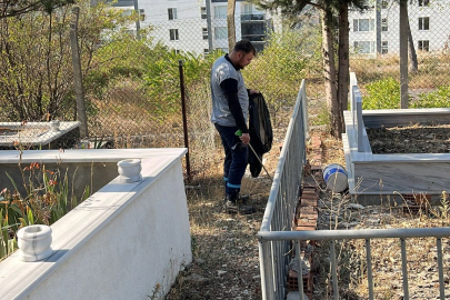 Mezarlıklar, Büyükşehir’le pırıl pırıl