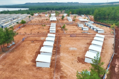 Antalya Büyükşehir’den sokak köpeklerine özel yaşam alanı