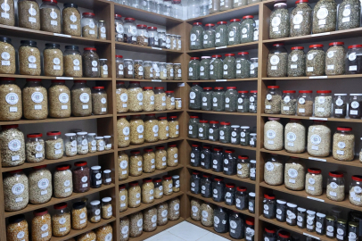 Muğla Büyükşehir’den 81 ile 22 milyon yerel tohum