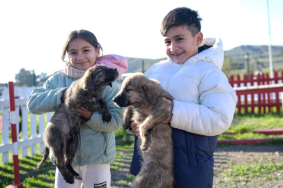 Doğa ve patili dostlar İzmir'de şifa dağıtıyor