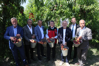 Türkiye Şeftali ve Nektarinde 250 Milyon Dolar İhracat Hedefi Koydu