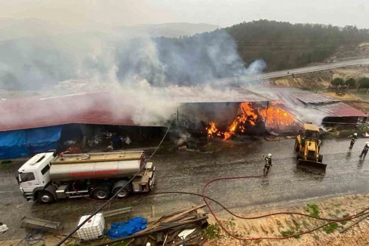 Çanakkale’de dama yıldırım düşmesi sonucu 2 bin balya saman yandı, 29 büyükbaş hayvan yanmaktan kurtarıldı